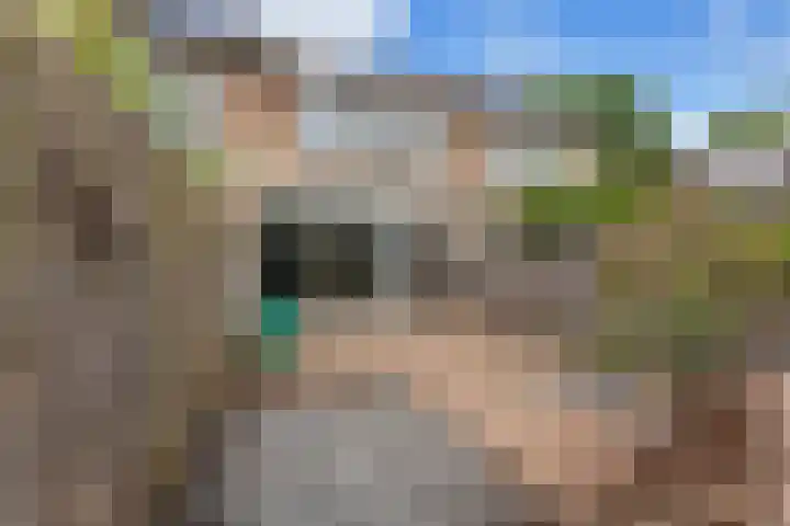 Grasbroek 45 Zwijndrecht thumbnail 42
