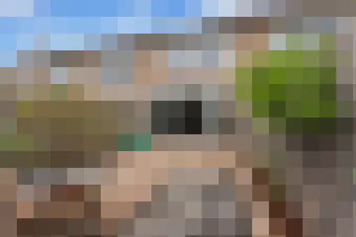Grasbroek 45 Zwijndrecht thumbnail 43