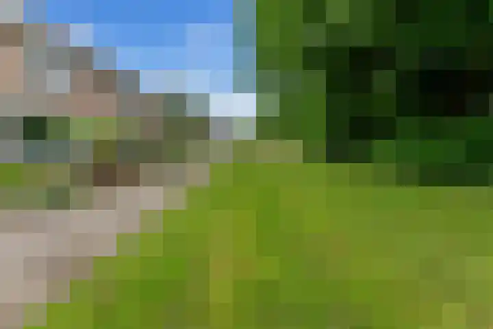 Grasbroek 45 Zwijndrecht thumbnail 49