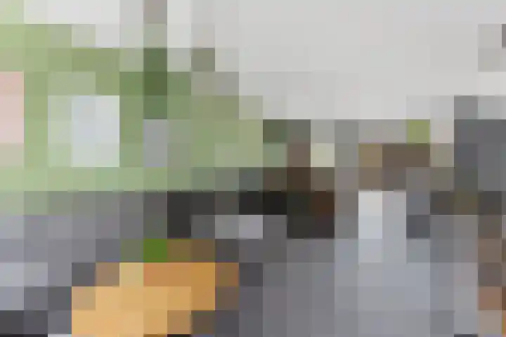 Grasbroek 45 Zwijndrecht thumbnail 5