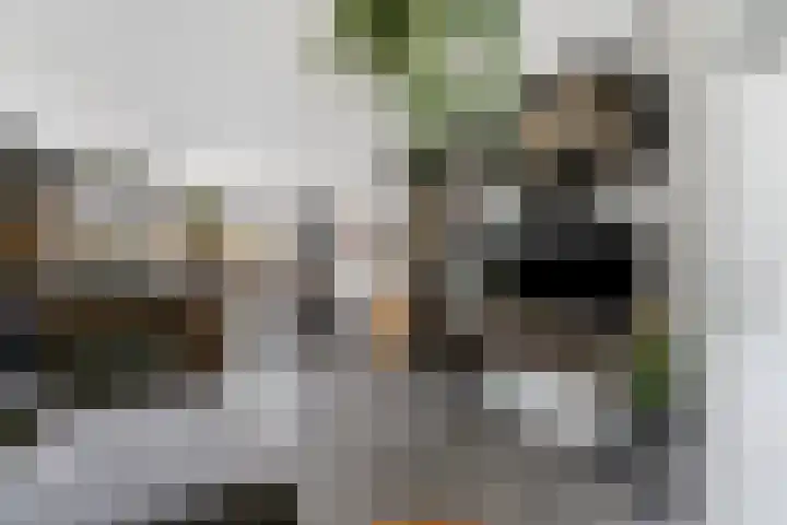 Grasbroek 45 Zwijndrecht thumbnail 7