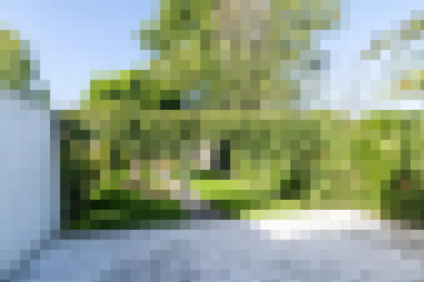 Grasbroekerweg 107 Heerlen thumbnail 41