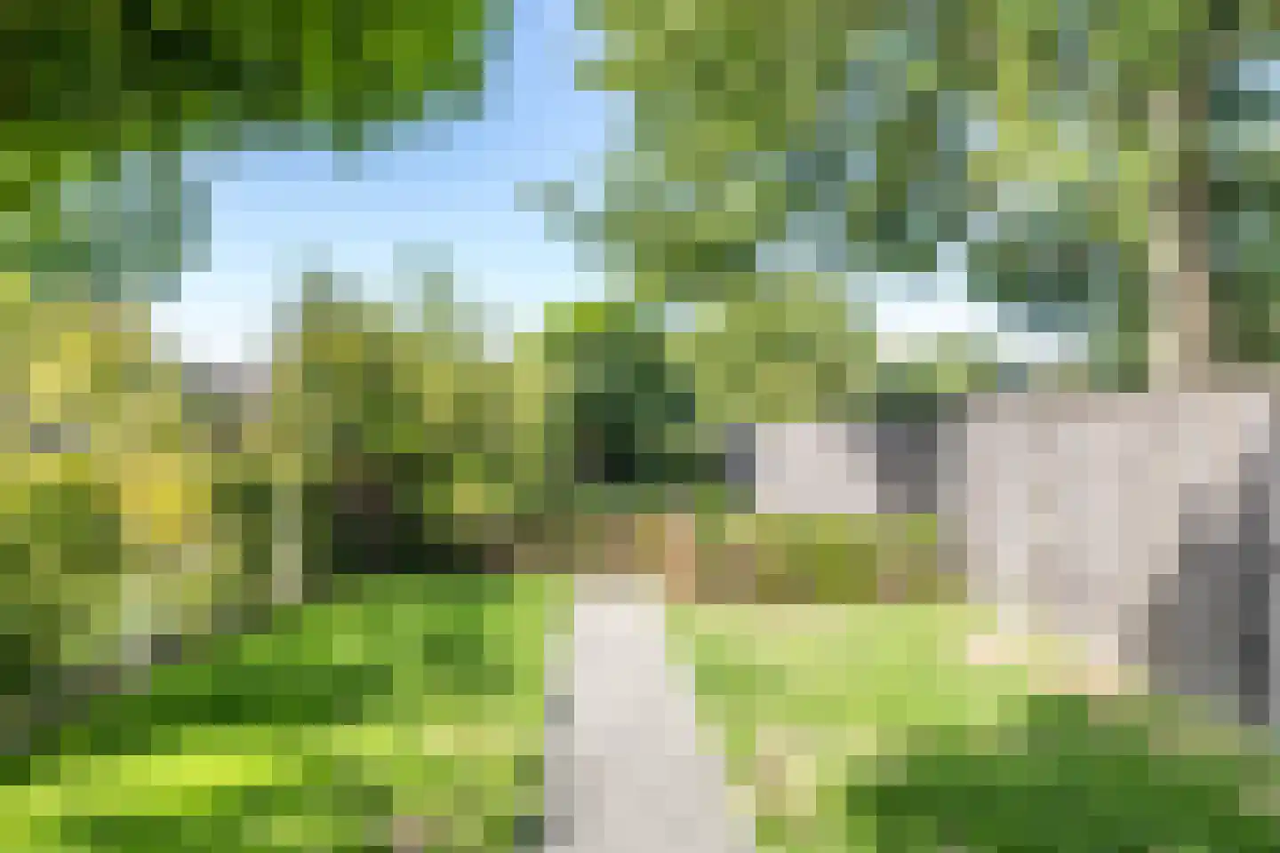Grasbroekerweg 107 Heerlen thumbnail 45