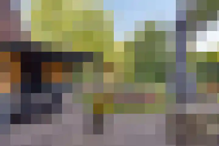 Grasbroekerweg 120 Heerlen thumbnail 54