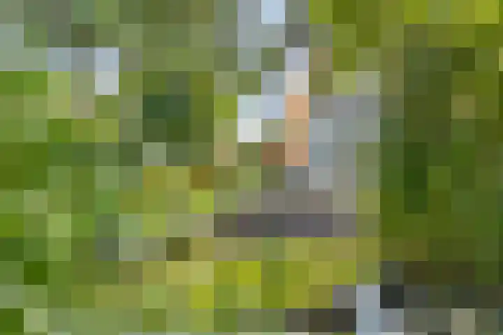 Grasbroekerweg 120 Heerlen thumbnail 65