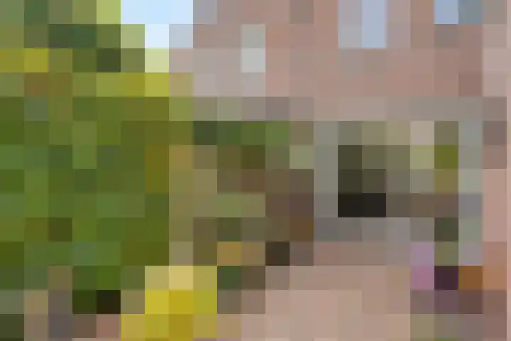 Grasbroekerweg 84 Heerlen thumbnail 33