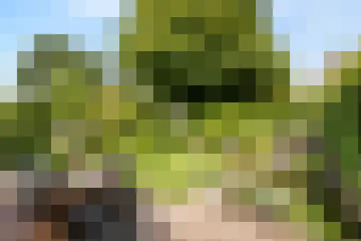 Grasbroekerweg 84 Heerlen thumbnail 34
