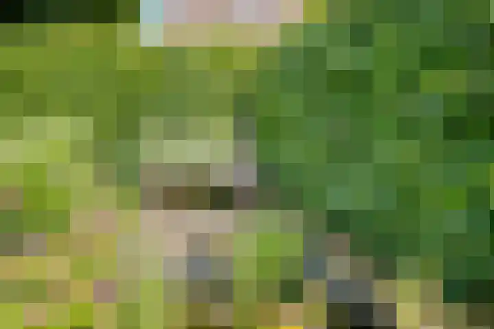 Grasbroekerweg 84 Heerlen thumbnail 35