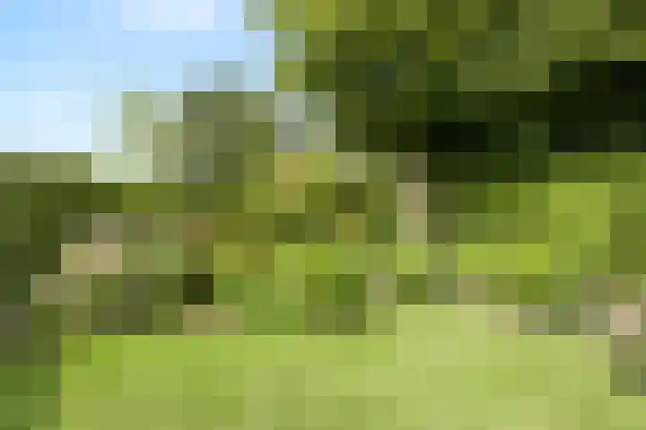 Grasbroekerweg 84 Heerlen thumbnail 36