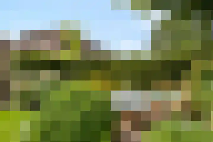 Grasbroekerweg 84 Heerlen thumbnail 37