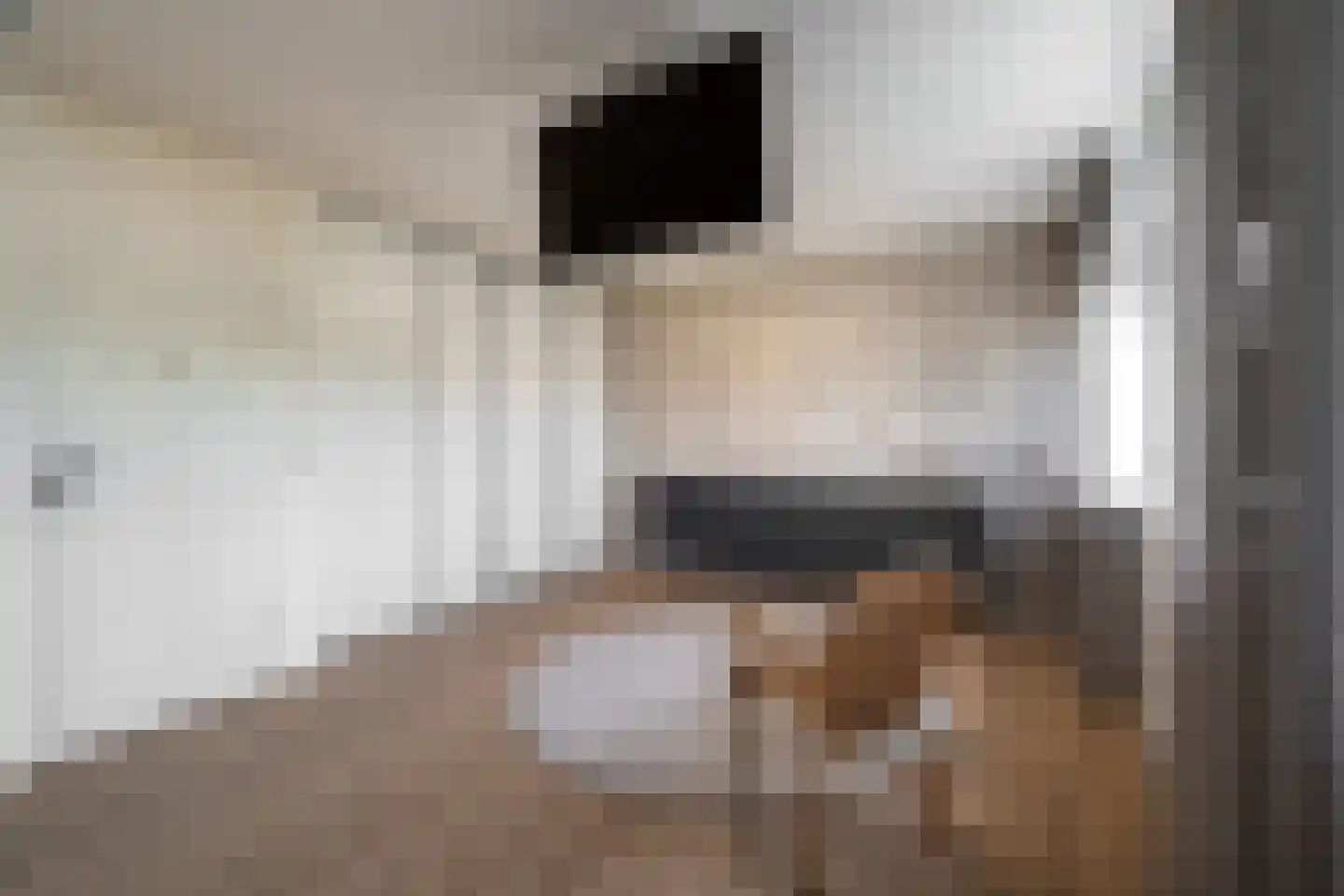 Grasbroekstraat 5 Sittard thumbnail 16