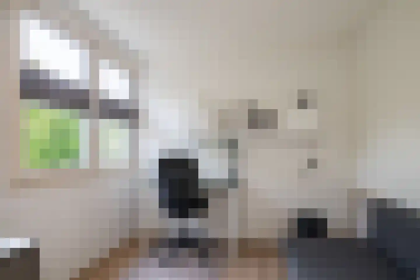 Grasbroekstraat 5 Sittard thumbnail 17