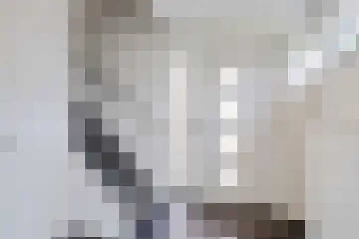 Grasbroekstraat 6 Limbricht thumbnail 4