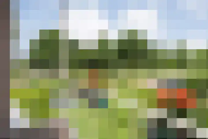 Grasdorpstraat 1 Zwolle thumbnail 22