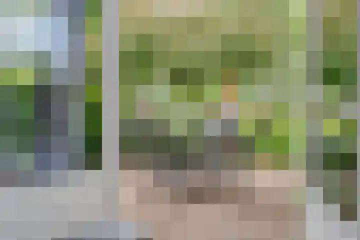 Grasdorpstraat 1 Zwolle thumbnail 32
