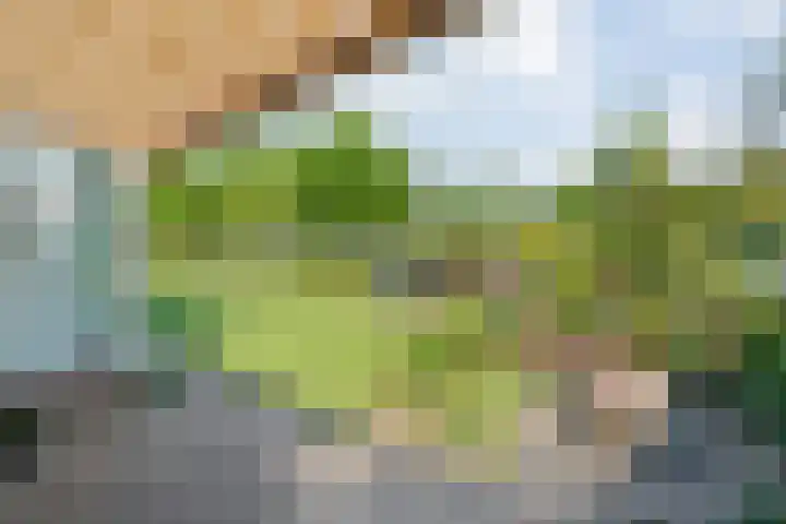 Grasdorpstraat 1 Zwolle thumbnail 33