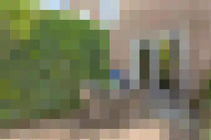 Grasdorpstraat 1 Zwolle thumbnail 35