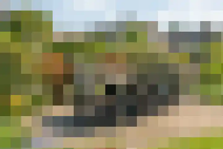 Grasdorpstraat 1 Zwolle thumbnail 36