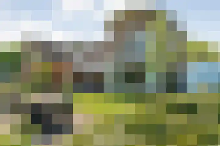 Grasdorpstraat 1 Zwolle thumbnail 38