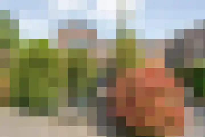 Grasdorpstraat 1 Zwolle thumbnail 4