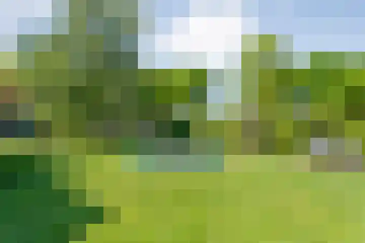 Grasdorpstraat 1 Zwolle thumbnail 41