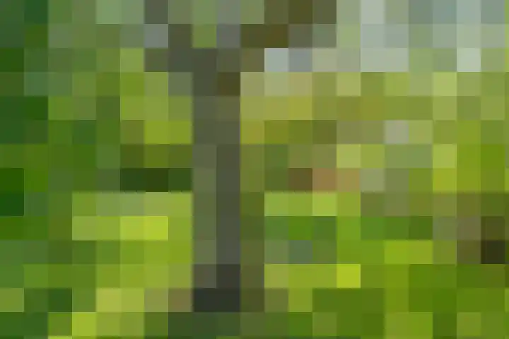 Grasdorpstraat 1 Zwolle thumbnail 43