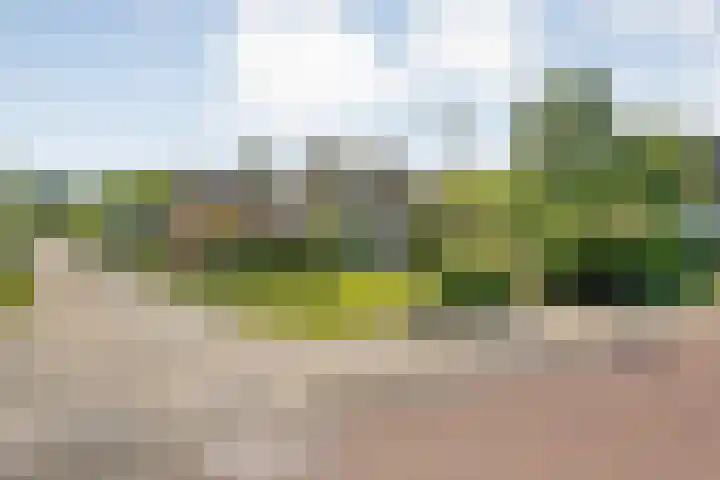 Grasdorpstraat 1 Zwolle thumbnail 46