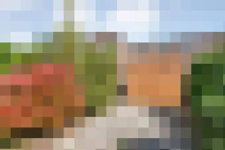 Grasdorpstraat 1 Zwolle thumbnail 5