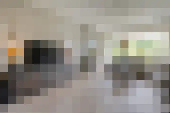 Grasdorpstraat 1 Zwolle thumbnail 9