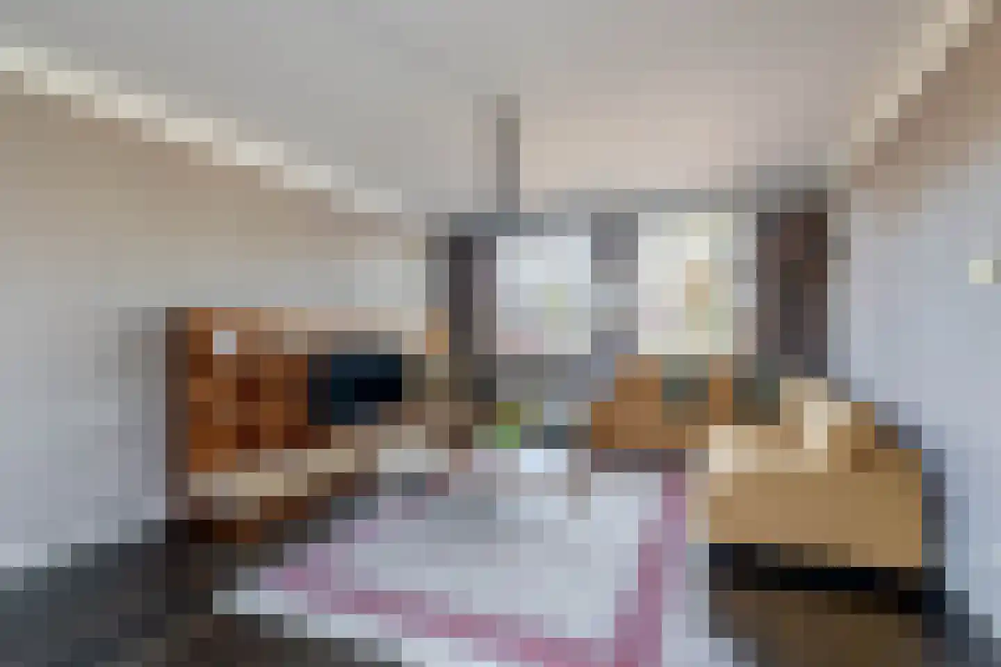 Grasdreef 1 Eindhoven thumbnail 9