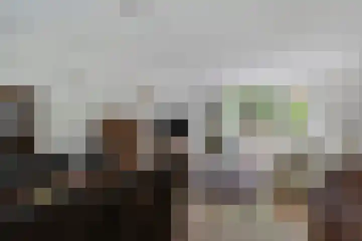 Grasdreef 29 Eindhoven thumbnail 13