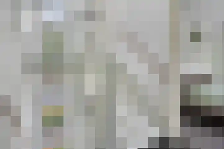 Grasdreef 29 Eindhoven thumbnail 21