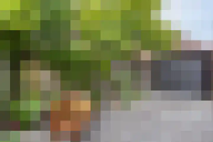 Grasdreef 29 Eindhoven thumbnail 34