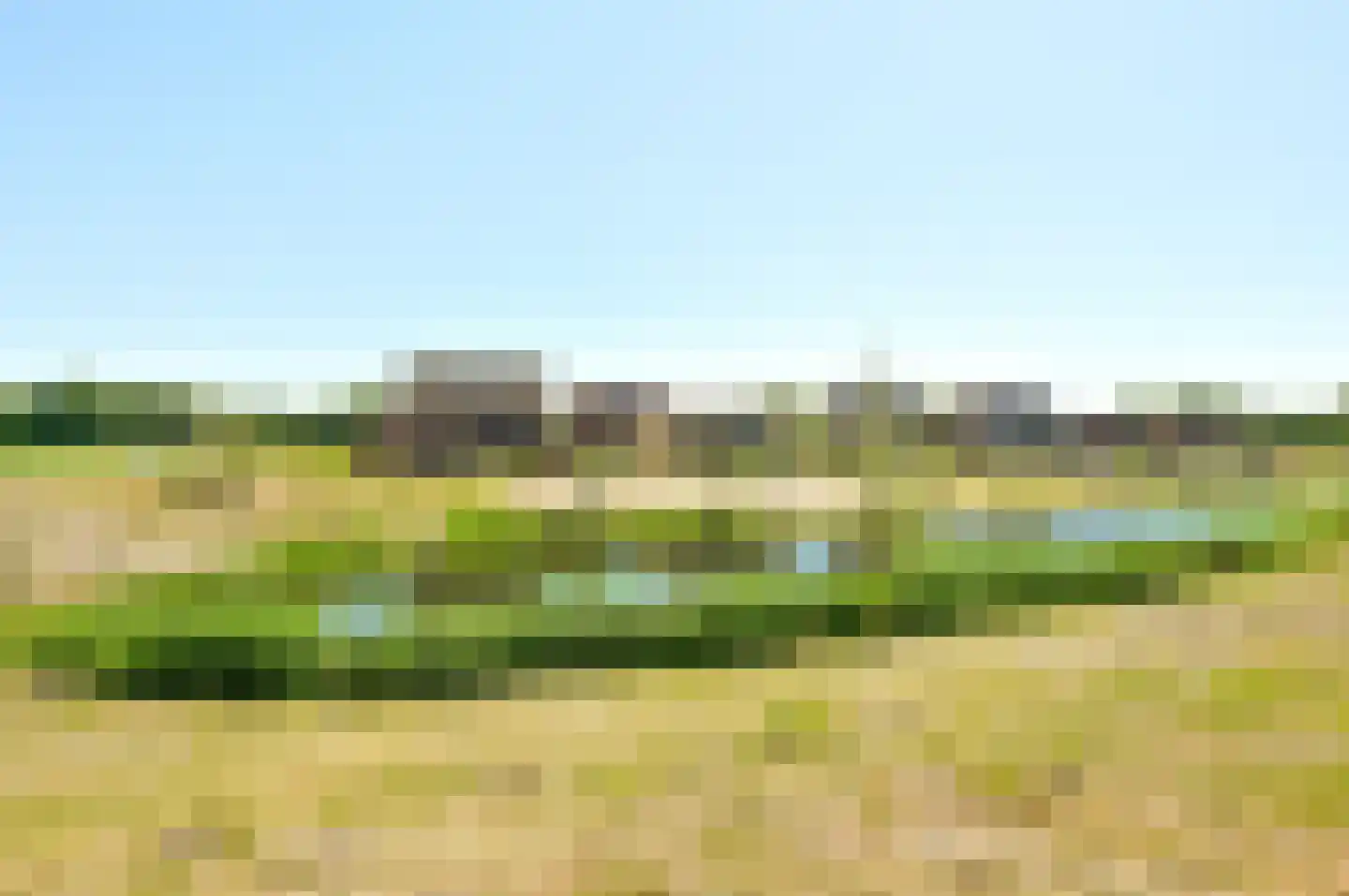 Grasduinen 10 Lelystad thumbnail 39