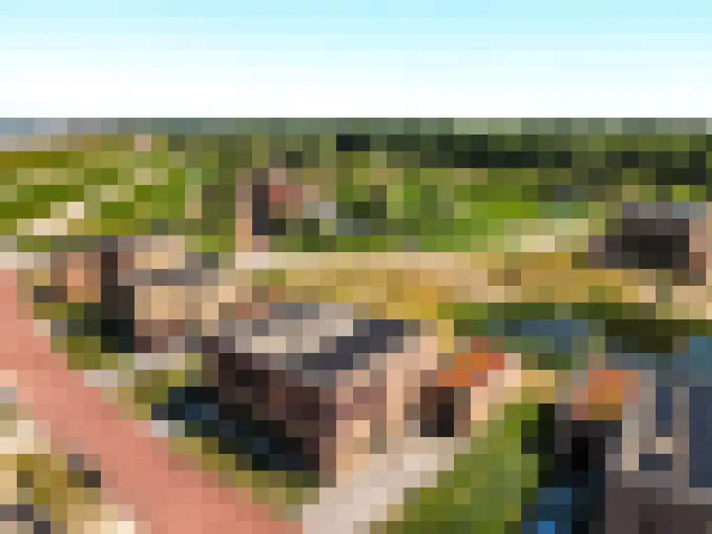 Grasduinen 10 Lelystad thumbnail 8
