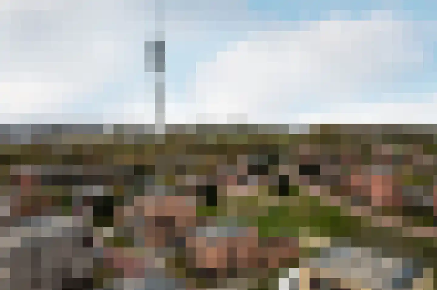 Grasduinen 5 Lelystad thumbnail 57