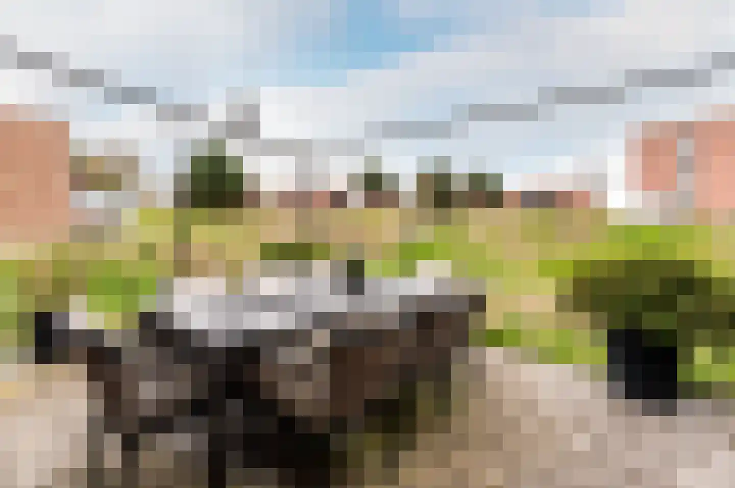 Grasduinen 5 Lelystad thumbnail 7