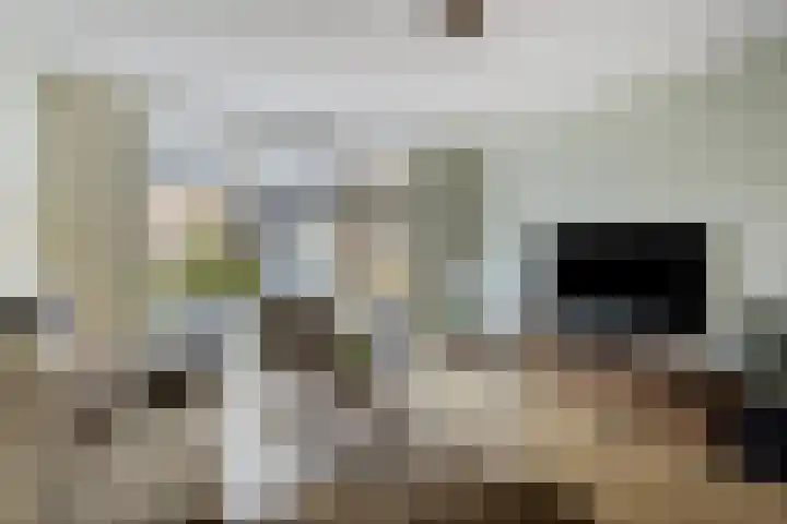 Grasfonteinkruid 11 Eindhoven thumbnail 10