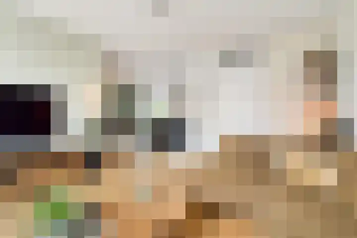 Grasfonteinkruid 11 Eindhoven thumbnail 13