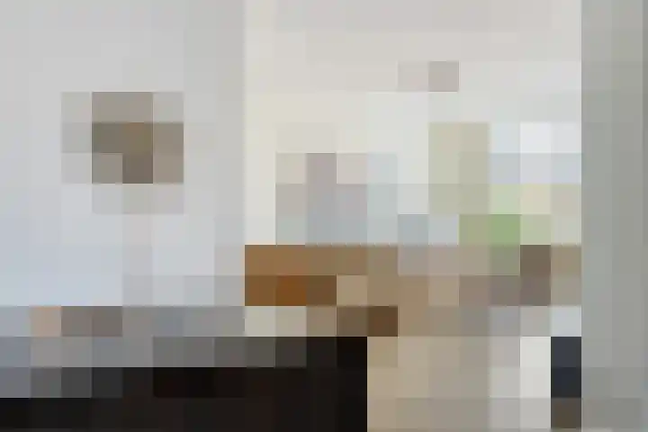 Grasfonteinkruid 11 Eindhoven thumbnail 17
