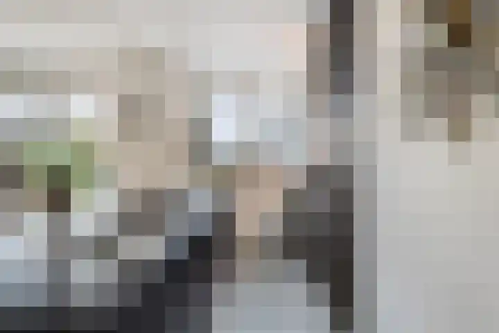 Grasfonteinkruid 11 Eindhoven thumbnail 18