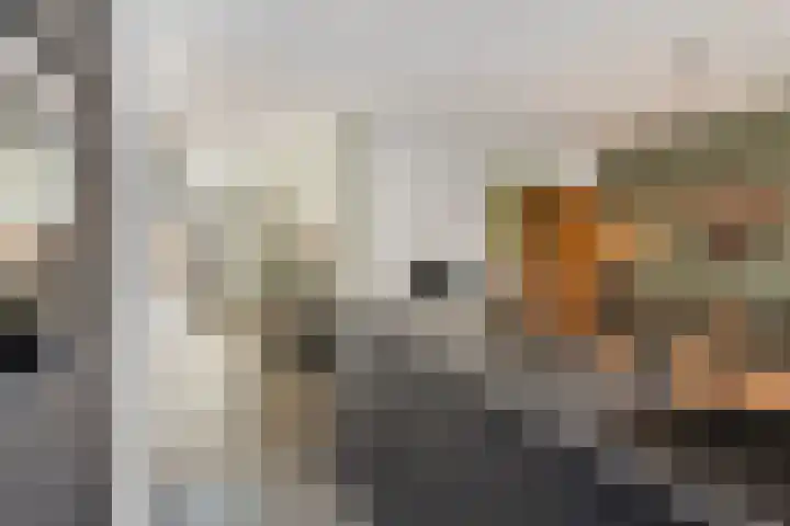 Grasfonteinkruid 11 Eindhoven thumbnail 19