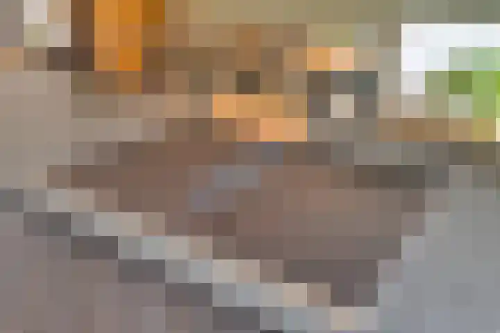 Grasfonteinkruid 11 Eindhoven thumbnail 20