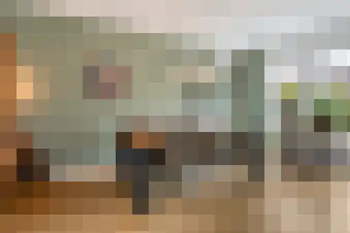 Grasfonteinkruid 11 Eindhoven thumbnail 21