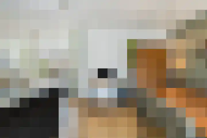 Grasfonteinkruid 11 Eindhoven thumbnail 22