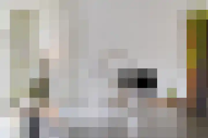 Grasfonteinkruid 11 Eindhoven thumbnail 27