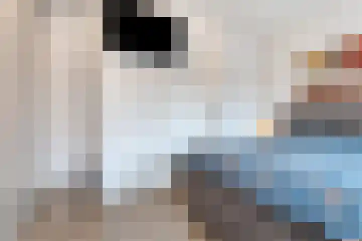 Grasfonteinkruid 11 Eindhoven thumbnail 31