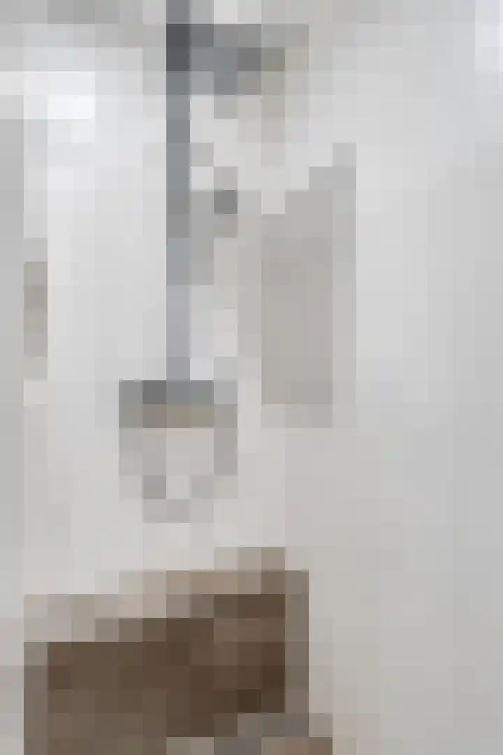 Grasfonteinkruid 11 Eindhoven thumbnail 35