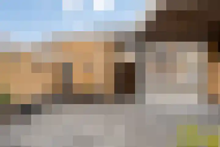 Grasfonteinkruid 11 Eindhoven thumbnail 40