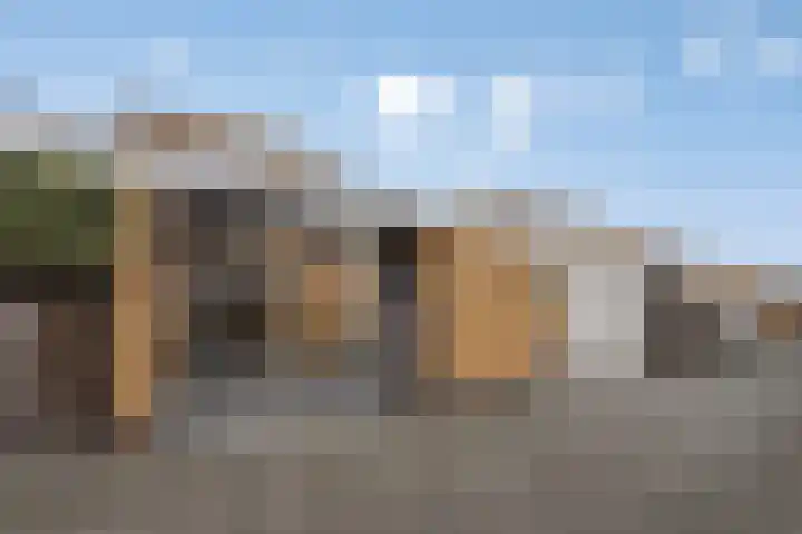 Grasfonteinkruid 11 Eindhoven thumbnail 42